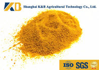 Corn Material Chicken Feed Protein 200g Free Sample Low Moisture Can Keep Fresh