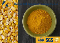 Fine Granular Corn Raw Organic Protein Powder High Protein Content With None Salmonella